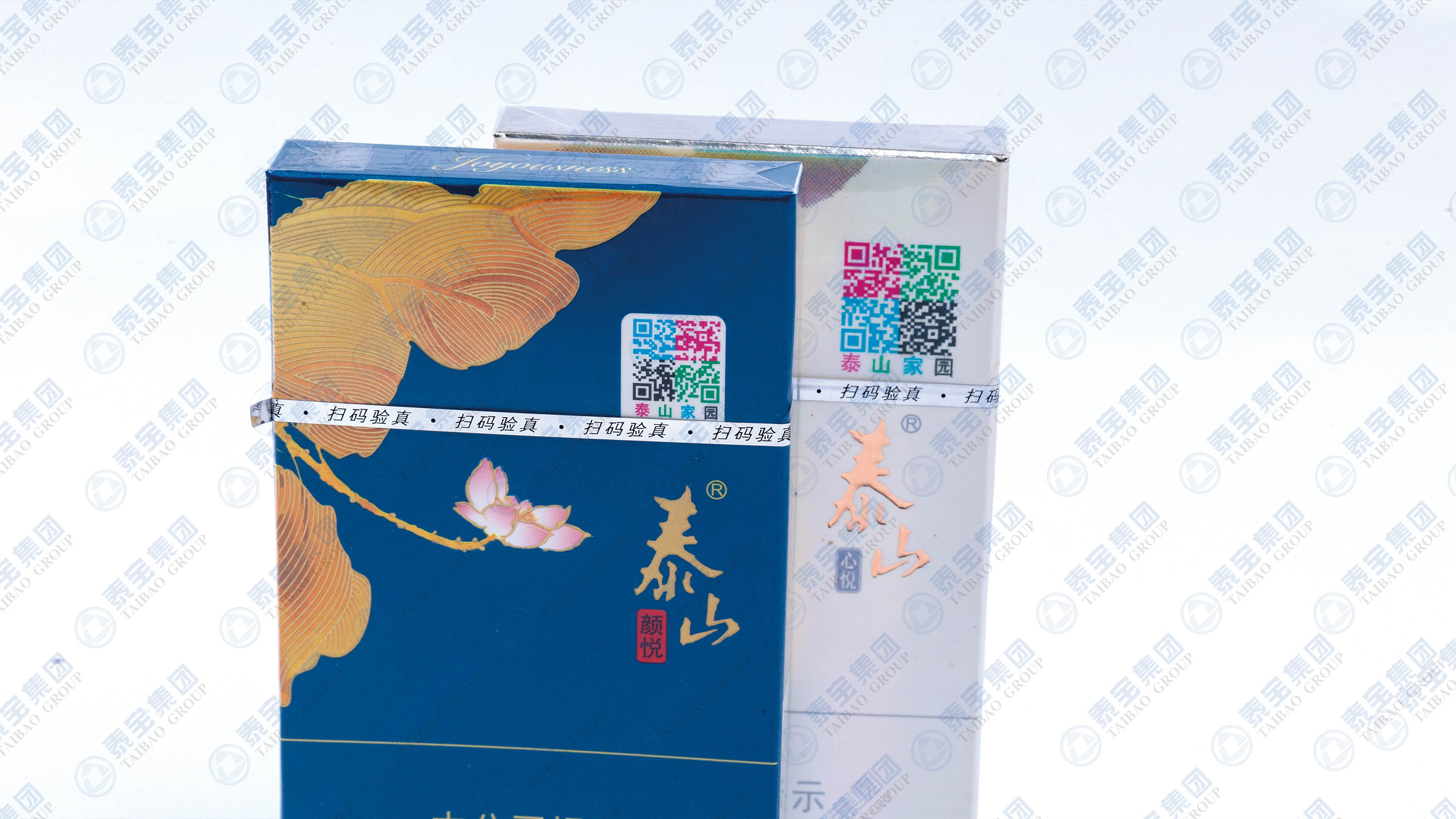 CMD368(中国区)体育有限公司官网